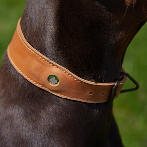 Personalized Leather Dog Collar, Engraved Dog Collar, Custom Dog Collar with Name, Leather Dog Collar