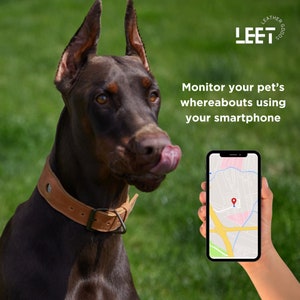 Personalized Leather Dog Collar with AirTag Holder, Personalized Dog Collar, Genuine Leather Dog Collar, Engraved Leather Dog Collar Airtag