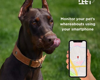 Coleira de couro para cães com suporte para AirTag: Etiqueta de identificação personalizada para animais de estimação, opção de tamanho personalizado