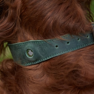 Personalizable Dog Collar Compatible with Apple AirTag, AirTag Collar, airtag dog collar, big dogs collars, airtag collar holder