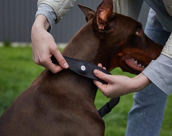 Engraved Leather Pet Collar: AirTag Pocket Holder, Dog ID Tag, Pet Tracking Accessories