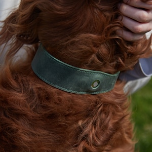 Pet Collar, airtag dog collar, purple dog collar, leather dog collar, luxury dog collar, dog mom gift, dog mom, dog lover gift