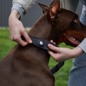 Personalizable Dog Collar Compatible with Apple AirTag, AirTag Collar, airtag dog collar, big dogs collars, airtag collar holder