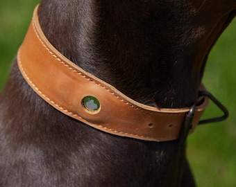 May include: A tan leather dog collar featuring a circular cutout that holds a small green circular device with a silver apple logo. The collar has visible stitching along the edges and a dark metal D-ring attachment on the side of the strap.