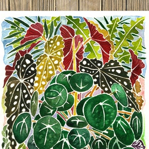 Indoor Garden 2