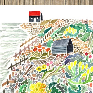 Seekohl und Shingle