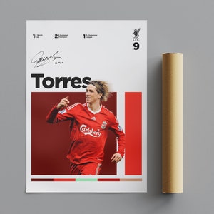 ADIDAS LIVERPOOL FC Football Soccer Fernando Torres Jersey Shirt