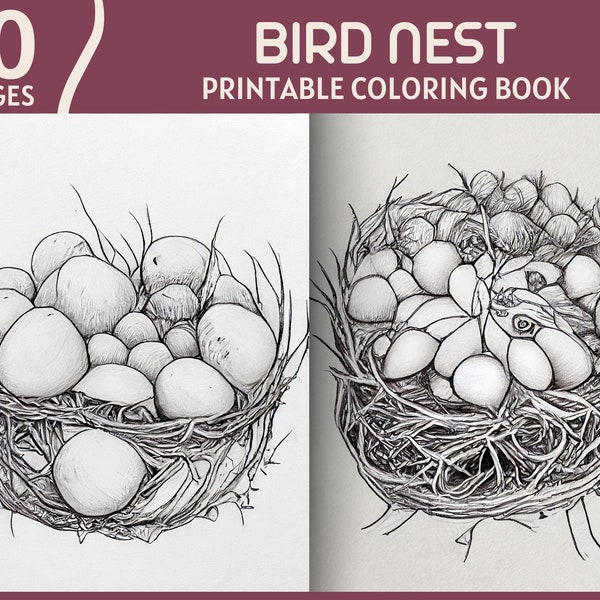 10 Bird Nest Coloring Pages - Bird Eggs And Bushy Nests Printable Coloring Book - Bird Nest Digital Coloring Page