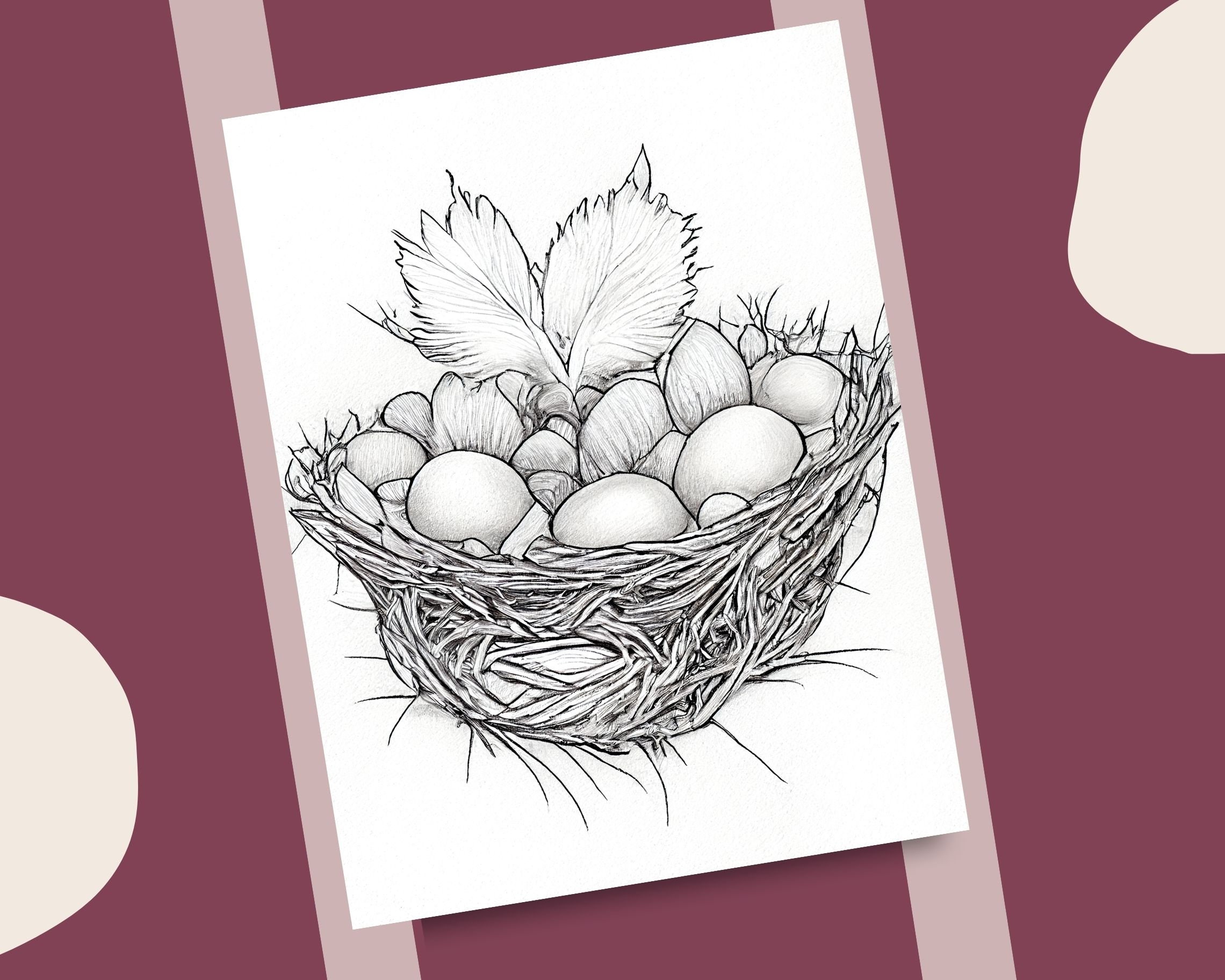 10 Bird Nest Coloring Pages Bird Eggs and Bushy Nests Printable