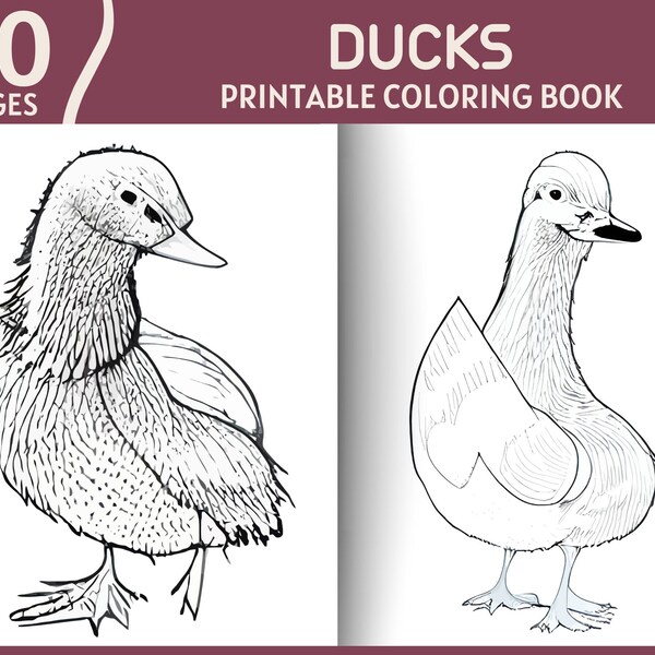 Duck Coloring Book - Etsy