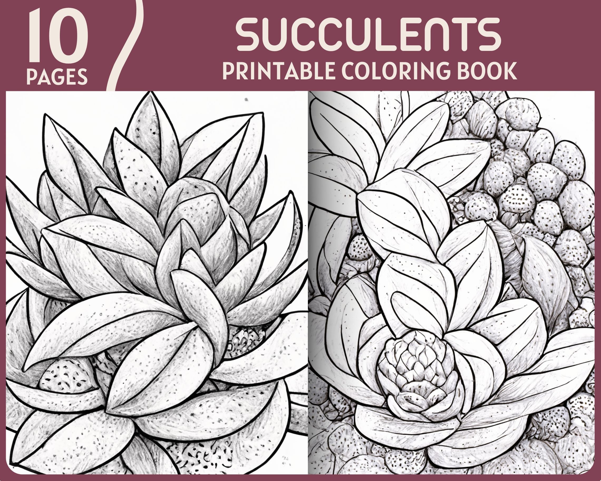 Succulents PAINT by NUMBERS Kit Adult Garden Lover Gift Easy DIY