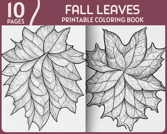 10 Fall Leaves Coloring Pages  Natural Leaf Theme Printable