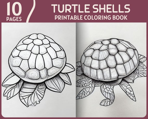 10 Turtle Shells Coloring Pages Realistic Turtles Printable - Etsy