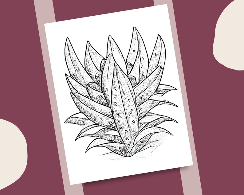 10 Aloe Vera Coloring Pages Natural Theme Plants Printable - Etsy