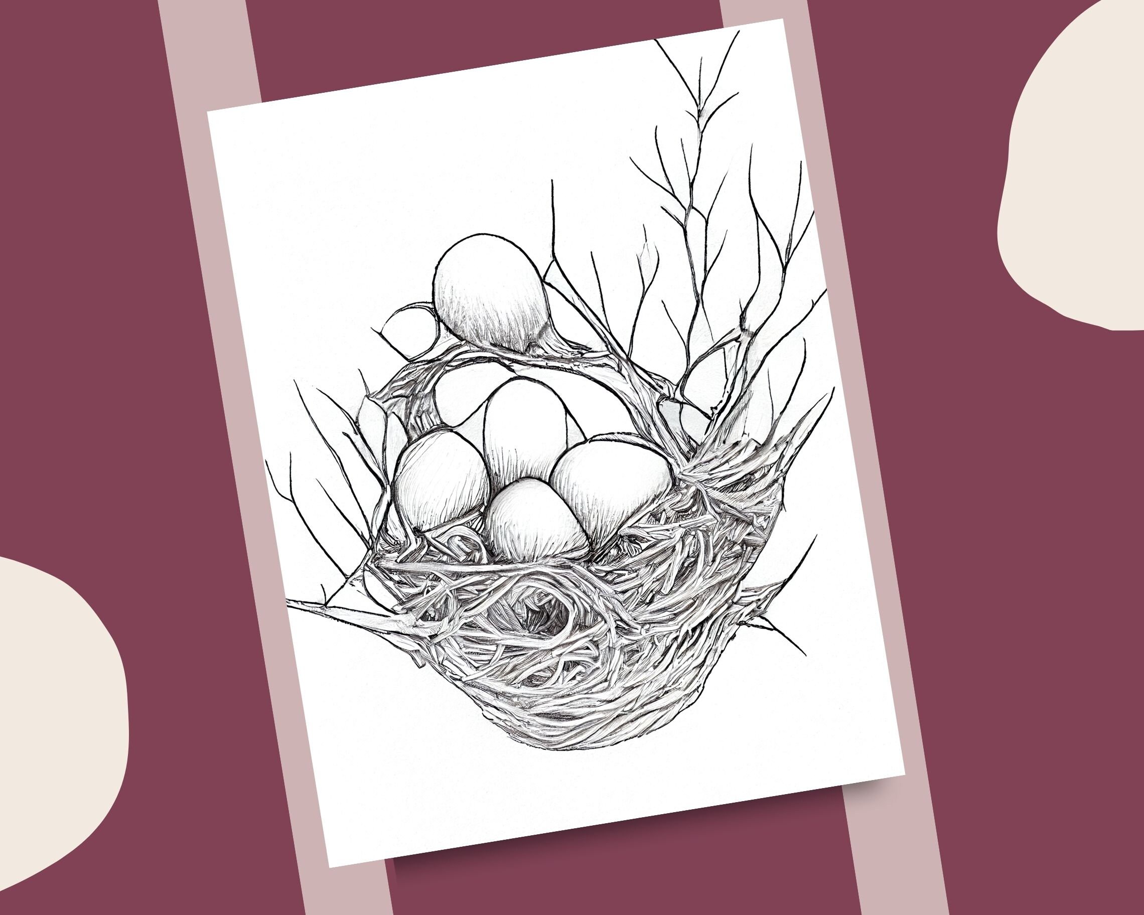 10 Bird Nest Coloring Pages Bird Eggs and Bushy Nests Printable ...