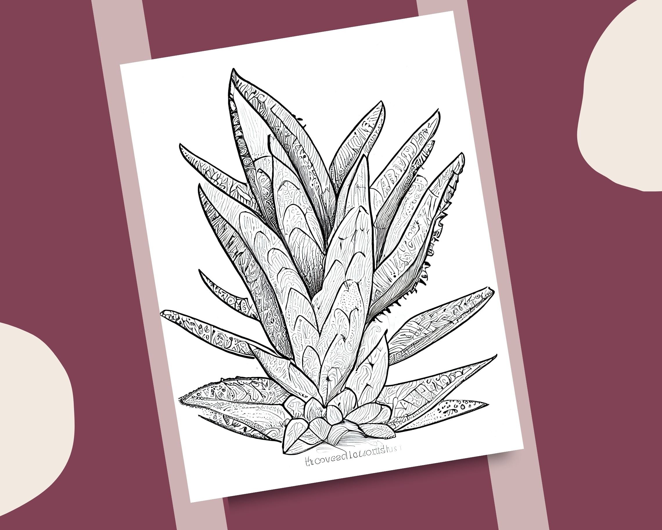 10 Aloe Vera Coloring Pages Natural Theme Plants Printable - Etsy