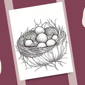 10 Bird Nest Coloring Pages Bird Eggs and Bushy Nests Printable ...