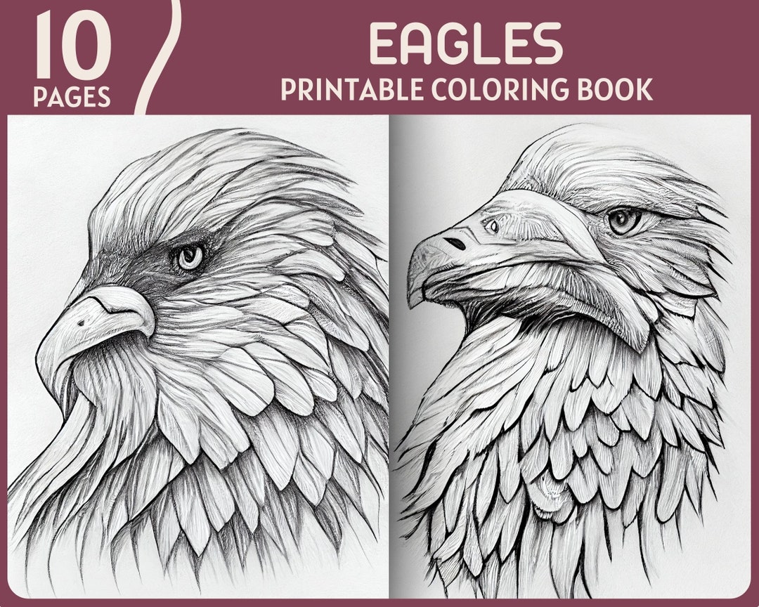 10 Eagles Coloring Pages Eagle Head Illustrations Printable - Etsy ...