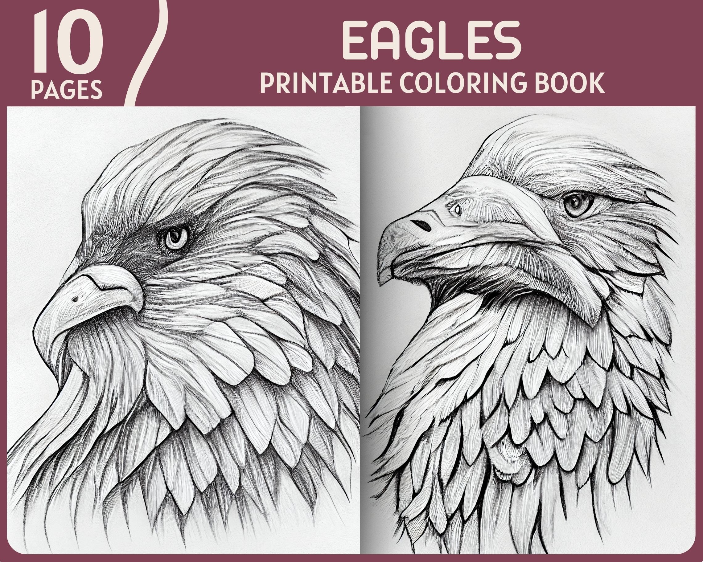 Eagle Coloring Book: A Cute Adult Coloring Books for Eagle Owner, Best Gift  for Eagle Lovers (Paperback)