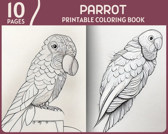 10 Vibrant Parrot Coloring Pages for Creative Fun