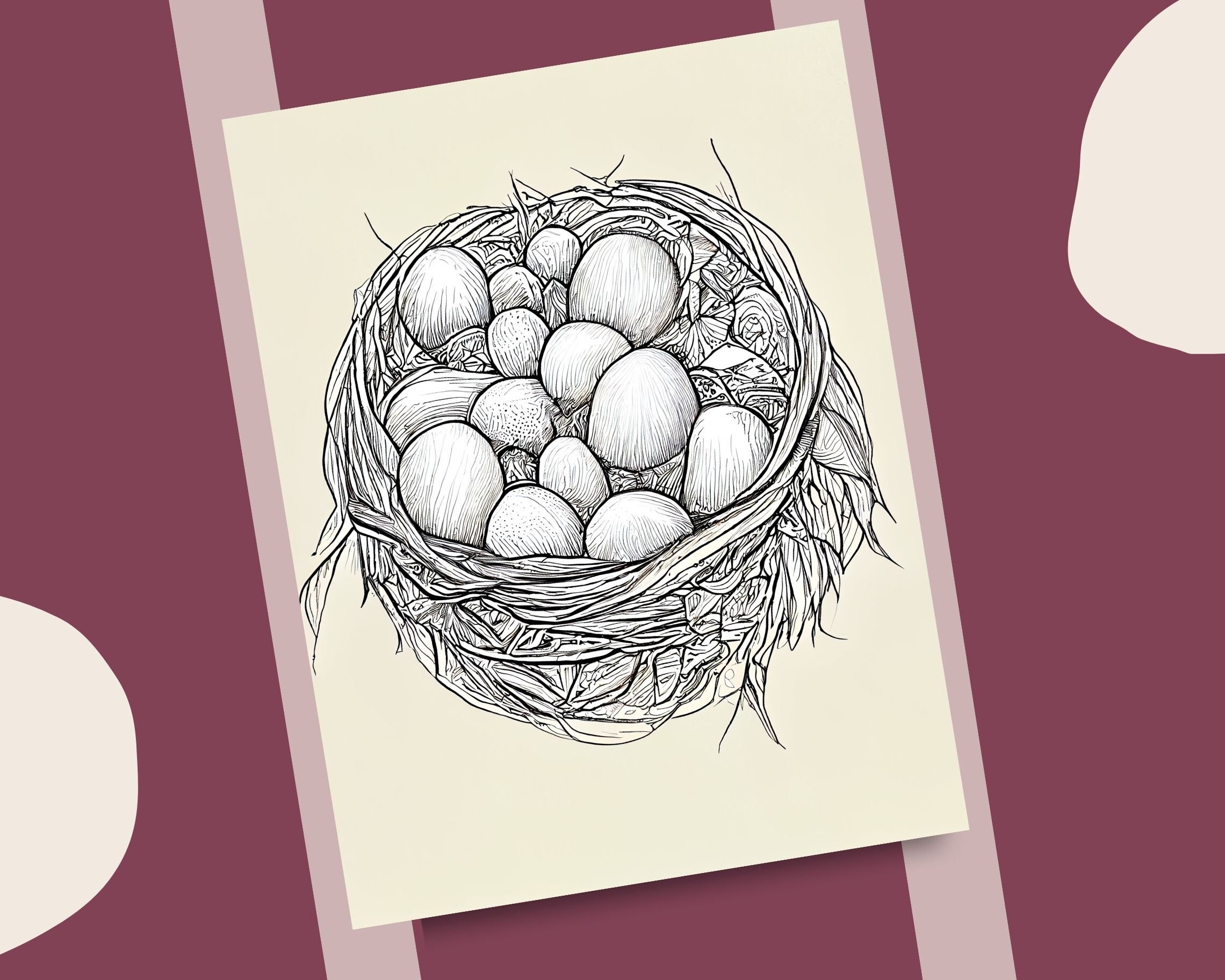 10 Bird Nest Coloring Pages Bird Eggs and Bushy Nests Printable ...