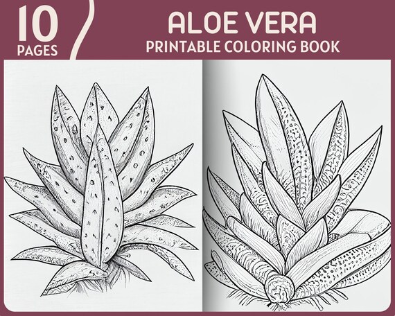 10 Aloe Vera Coloring Pages Natural Theme Plants Printable - Etsy