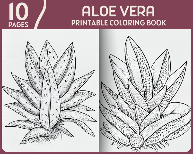 10 Aloe Vera Coloring Pages Natural Theme Plants Printable - Etsy