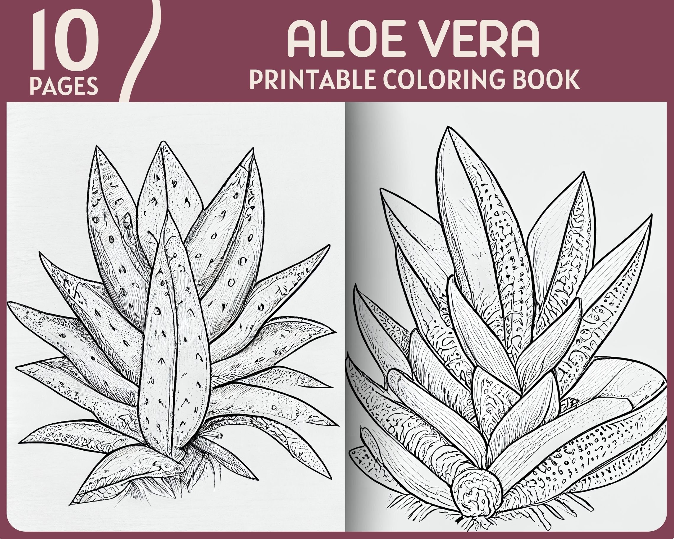 10 Aloe Vera Coloring Pages Natural Theme Plants Printable - Etsy