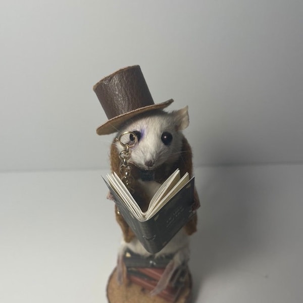 Präparierte Maus Bücherstapel