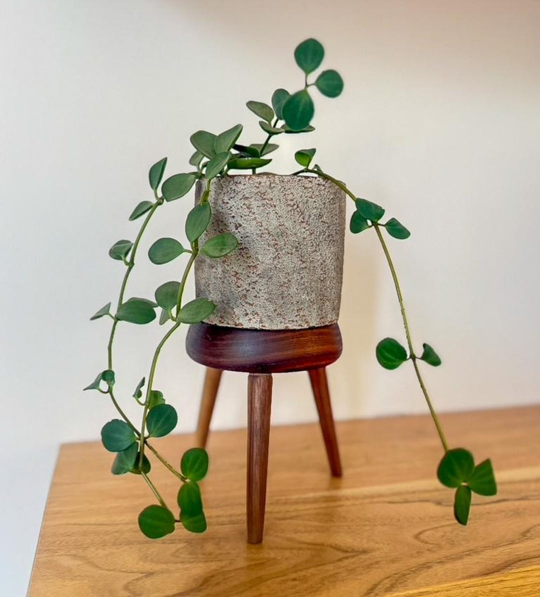 Handcrafted Wooden Plant Stand – Mid Century Modern Style - Etsy