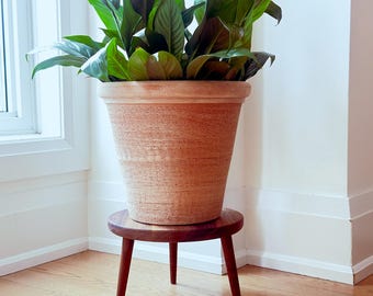 Soporte de madera para plantas con trípode / Elevador de plantas de madera maciza de perfil bajo