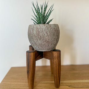 May include: A small succulent plant with green and white striped leaves in a textured, grey-brown pot. The pot sits on a dark brown, wooden plant stand with three legs. The stand is on a wooden surface.