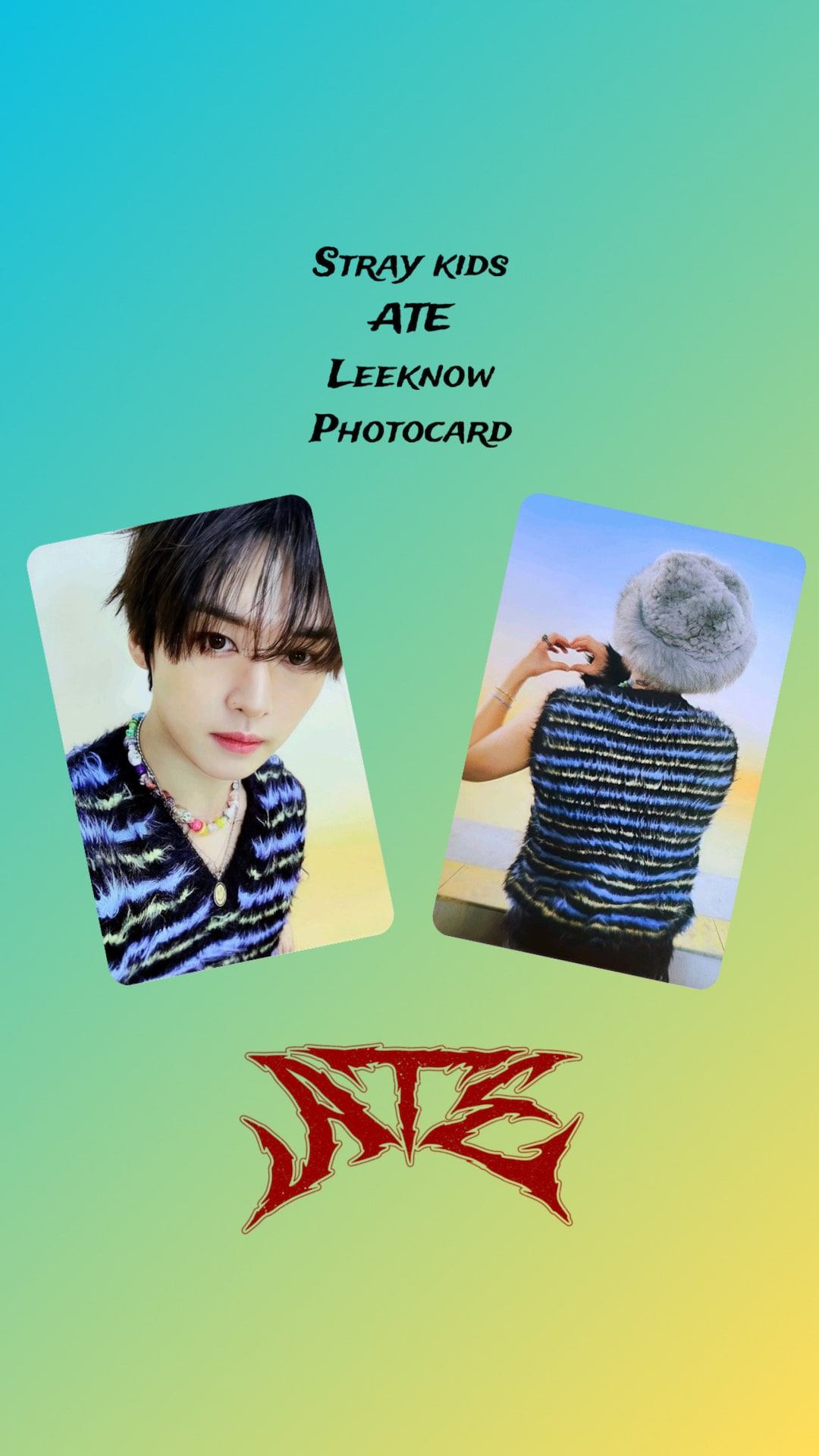 Stray Kids SKZ ATE Leeknow Photocard - Etsy