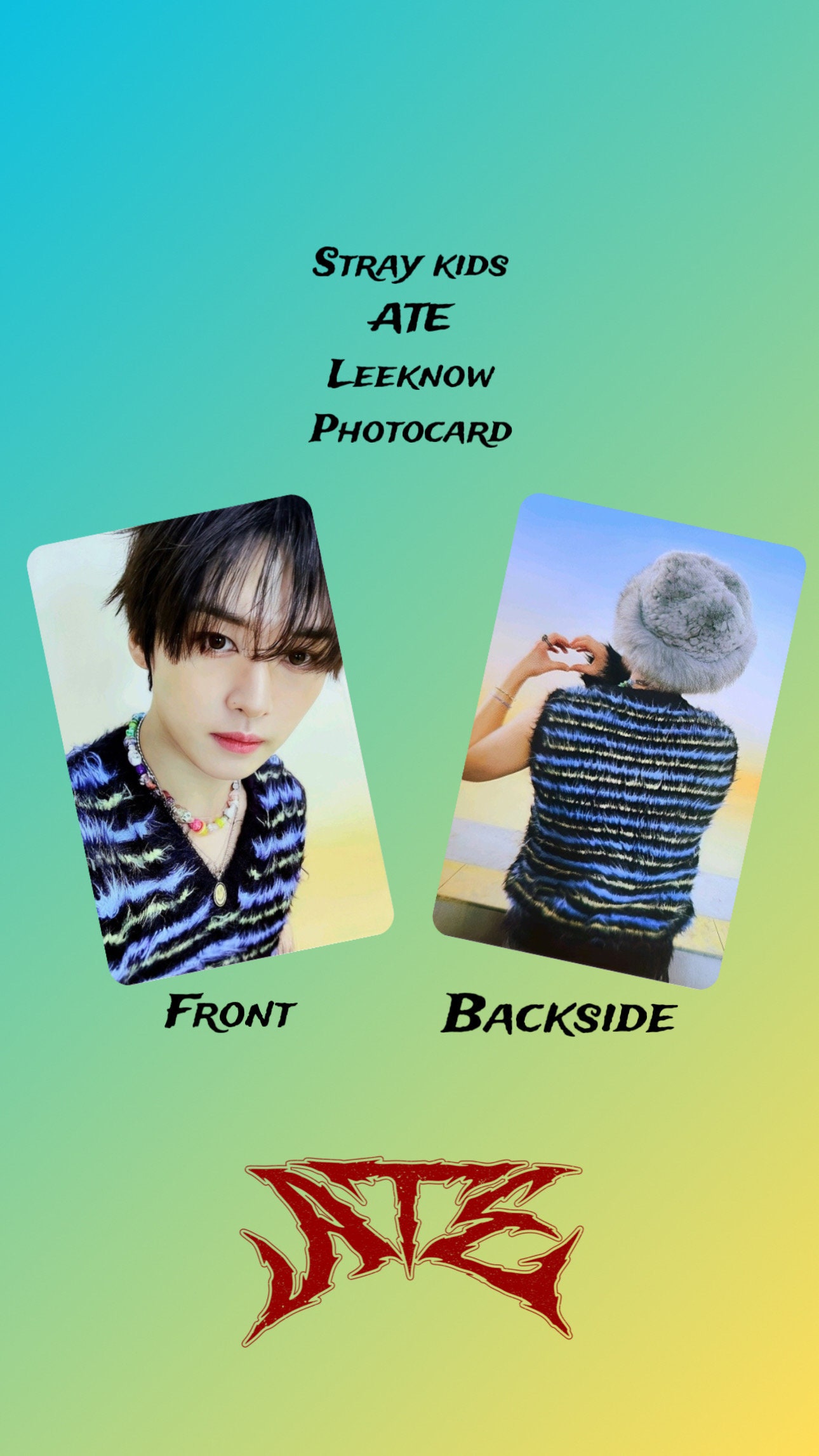 Stray Kids SKZ ATE Leeknow Photocard - Etsy