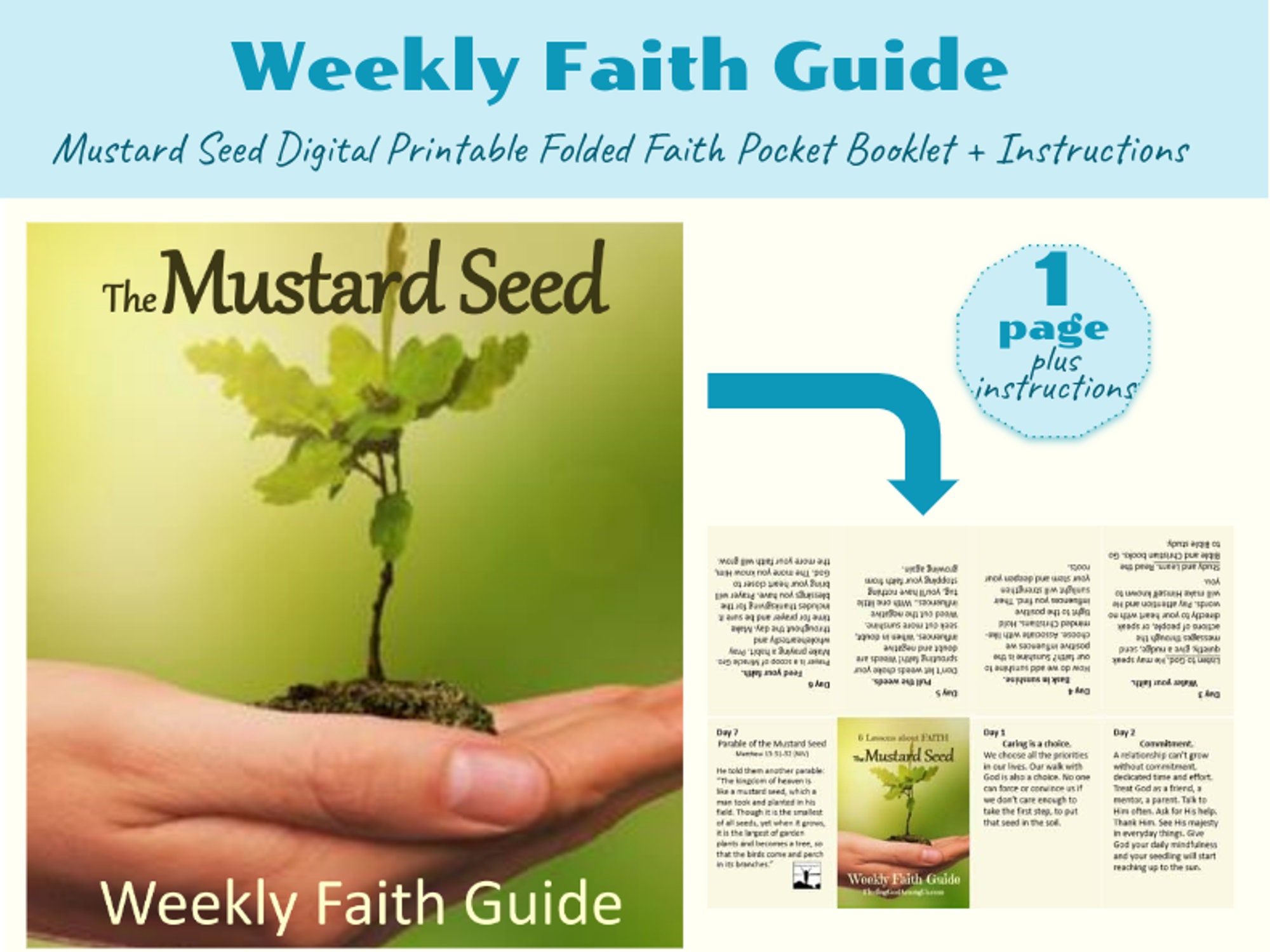 Mustard Seed Plant Fully Grown