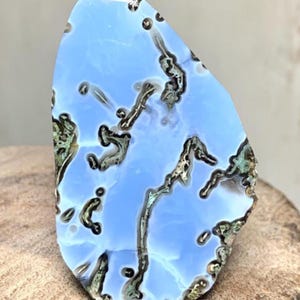 May include: A polished, irregularly shaped stone with a light blue base color. Dark brown and black vein-like patterns and small spots run across the surface. The edges have a rough, natural texture with hints of green and brown.