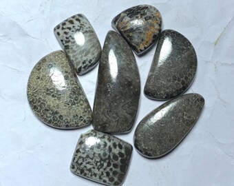 Hermoso anillo de 7 piezas de coral fósil negro escénico de 94,60 quilates, cabujón suelto, forma mixta, piedra preciosa fósil negro natural, regalo para ella