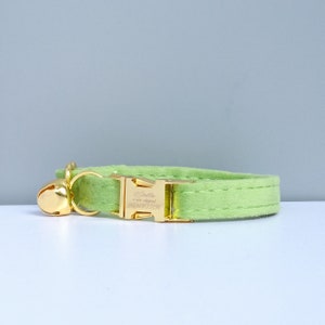 Puede incluir: Un collar para gato de color verde claro con una hebilla dorada y una campanilla. La hebilla tiene el nombre "Stella" y el texto "un nuevo cap&iacute;tulo" grabado.
