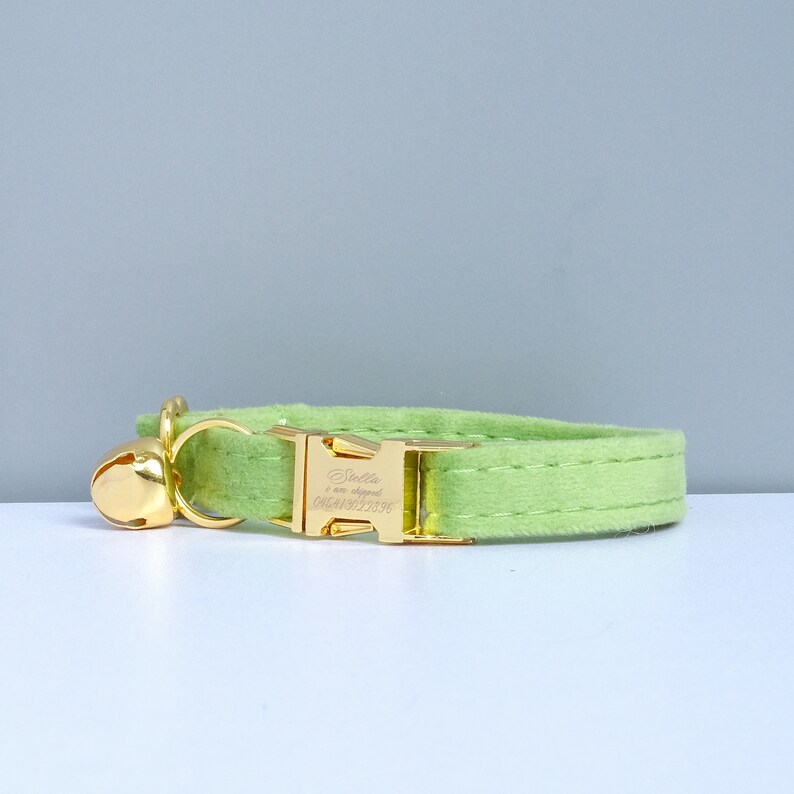 Puede incluir: Un collar para gato de color verde claro con una hebilla dorada y una campanilla. La hebilla tiene el nombre "Stella" y el texto "un nuevo cap&iacute;tulo" grabado.
