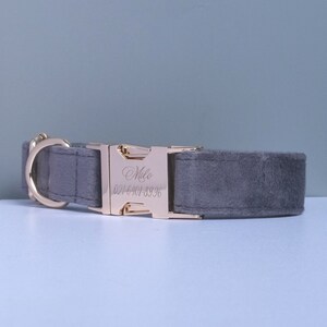 May include: A gray velvet dog collar with a gold metal buckle. The buckle is engraved with the name "Milo" and a phone number.