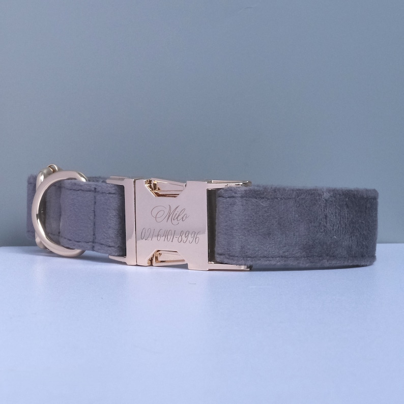 May include: A gray velvet dog collar with a gold metal buckle. The buckle is engraved with the name "Milo" and a phone number.