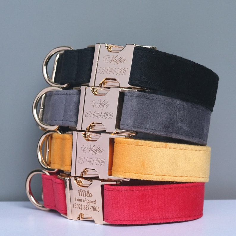 May include: Four velvet dog collars in different colors, stacked on top of each other. The collars are personalized with names and phone numbers. The top collar is black, the second is gray, the third is yellow, and the bottom is red.