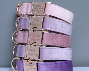 Luxury Dog Collar | Engraved Pet Collar | Velvet Dog Collar | Cute Dog Collar | Designer Dog Collar | Buckle Dog Collar | Cat ID Collar