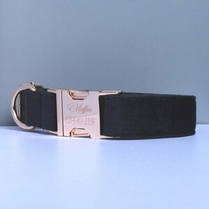 May include: Black velvet dog collar with a rose gold buckle engraved with the name "Muffin" and phone number "021-6401-8996".