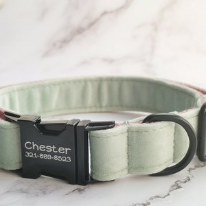 Op de afbeelding: Een lichtgroene en roze fluwelen hondenriem met een zwarte metalen gesp. De gesp heeft de naam "Chester" en het telefoonnummer "321-889-8523" erop gegraveerd.