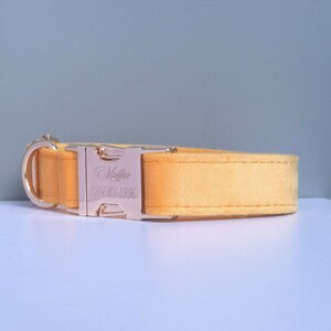 May include: A yellow velvet dog collar with a gold buckle. The buckle is engraved with the name "Muffin" and a phone number.