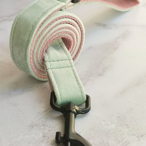 May include: A light green velvet dog leash with a pink lining and a black metal clip.