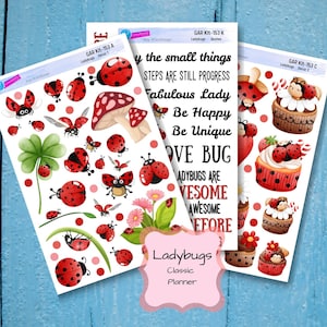 May include: Three sheets of stickers featuring ladybugs, flowers, mushrooms, cupcakes, and inspirational quotes. The quotes include "Be Happy, Be Unique", "Love Bug", and "Fabulous Lady".