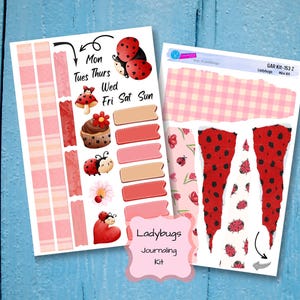 LADYBUG JOURNALING STICKERS Summer Planner Stickers Spring Calendar Stickers
