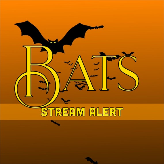 Flying Bats Stream Alert - Animated Full Screen Bat Overlay with Transparent Background - 1920x1080 - Instant Download - Spooky Animation!